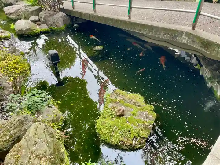 東光寺別院桜ヶ池不動院の{uncategorized: "未分類", other: "その他", undefined: "問題あり", building: "その他建物", grave: "お墓", sacred_gate: "鳥居", guardian: "狛犬", statue: "像", buddha: "仏像", history: "歴史", nature: "自然", garden: "庭園", animal: "動物", pagoda: "塔", temizu: "手水舎", mountain_gate: "山門・神門", sanctuary: "本殿・本堂", subordinate: "末社・摂社", art: "芸術", scenery: "景色", jizo: "地蔵", ema: "絵馬", goshuin: "御朱印", omikuji: "おみくじ", items: "授与品その他", amulet: "お守り", goshuincho: "御朱印帳", eats: "食事", festival: "お祭り", votive_dance: "神楽", shichigosan: "七五三参", wedding: "結婚式", experience: "体験その他", initially: "初詣", around: "周辺", anti_infection: "感染症対策"}