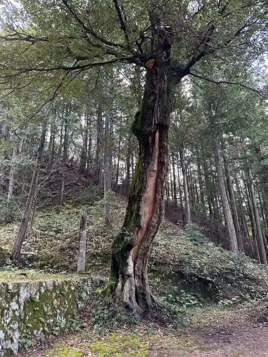 衆良神社の自然
