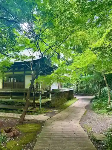 深大寺(東京都)