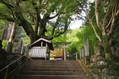 八坂神社(高知県)