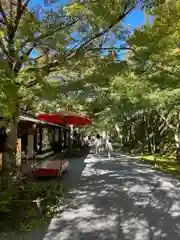 三千院門跡(京都府)