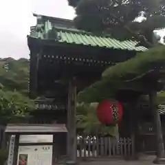 長谷寺(神奈川県)