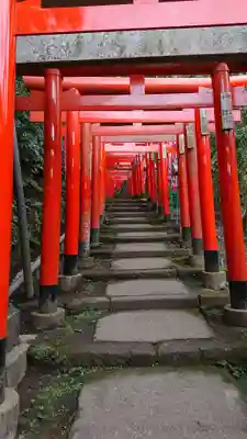 佐助稲荷神社の鳥居