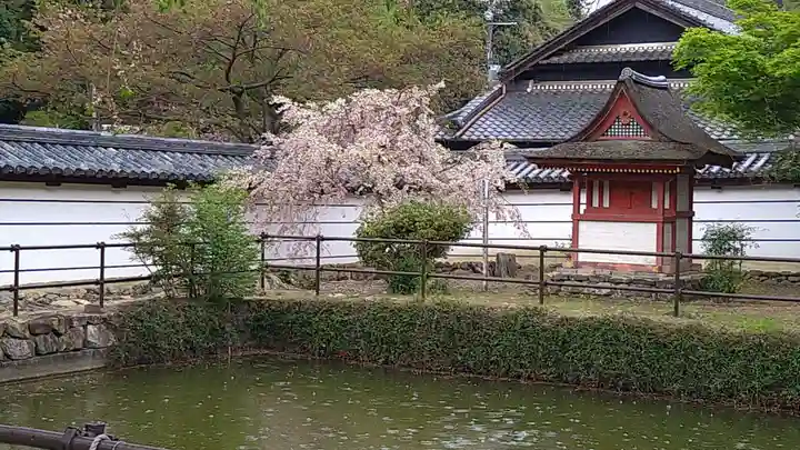 金剛寺のその他建物