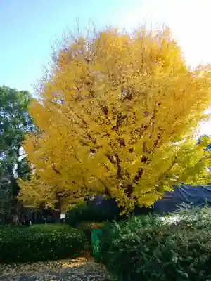 五條天神社(東京都)