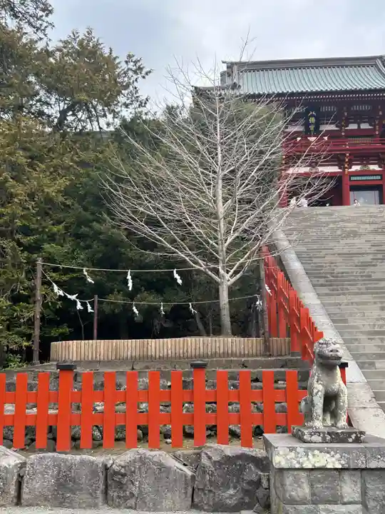 鶴岡八幡宮(神奈川県)