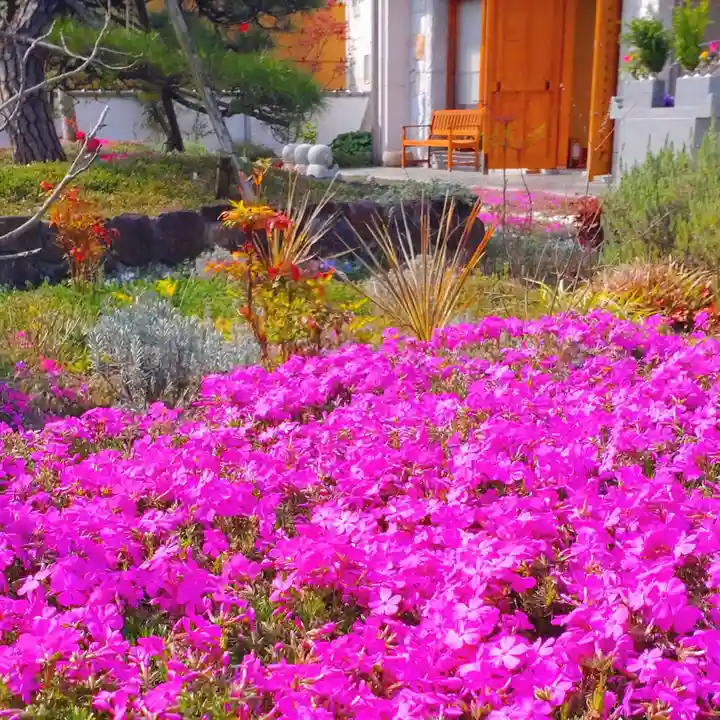 寿量山 速成寺のお墓