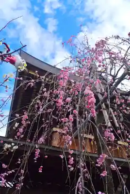 湯島天満宮(東京都)