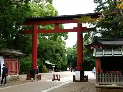 武蔵一宮氷川神社の鳥居