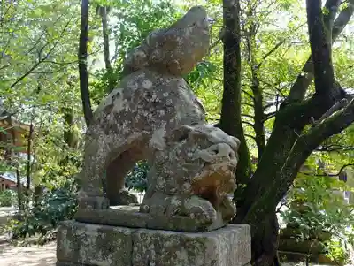 長浜神社の狛犬