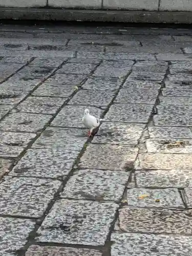 本覚寺(東京都)
