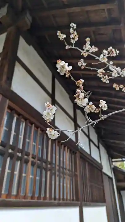 東北院(京都府)