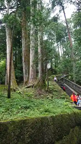 日光東照宮の自然