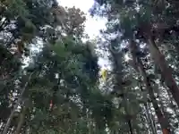 大宮温泉神社の自然