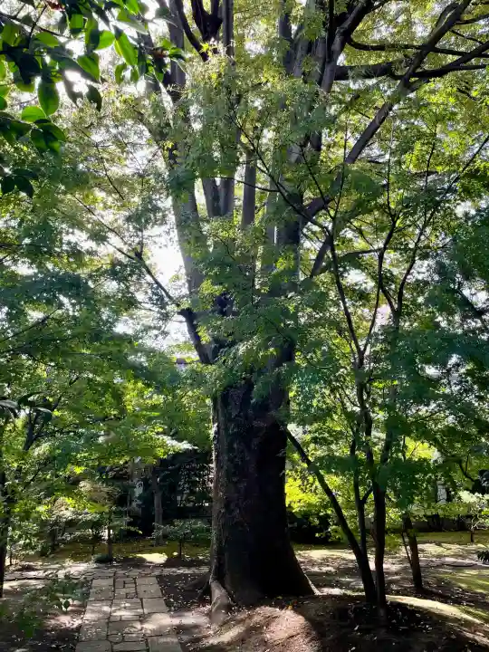 祥雲寺(東京都)