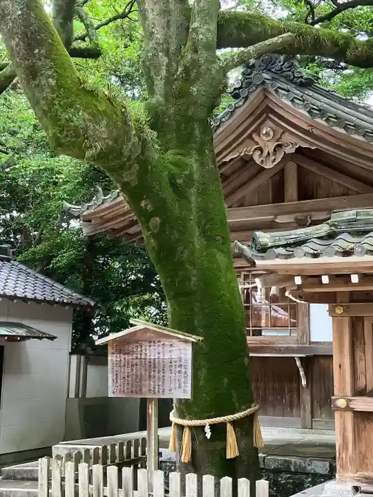 多賀神社(尾張多賀神社)(愛知県)