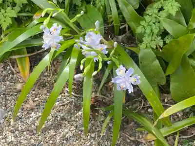 正暦寺の{uncategorized: "未分類", other: "その他", undefined: "問題あり", building: "その他建物", grave: "お墓", sacred_gate: "鳥居", guardian: "狛犬", statue: "像", buddha: "仏像", history: "歴史", nature: "自然", garden: "庭園", animal: "動物", pagoda: "塔", temizu: "手水舎", mountain_gate: "山門・神門", sanctuary: "本殿・本堂", subordinate: "末社・摂社", art: "芸術", scenery: "景色", jizo: "地蔵", ema: "絵馬", goshuin: "御朱印", omikuji: "おみくじ", items: "授与品その他", amulet: "お守り", goshuincho: "御朱印帳", eats: "食事", festival: "お祭り", votive_dance: "神楽", shichigosan: "七五三参", wedding: "結婚式", experience: "体験その他", initially: "初詣", around: "周辺", anti_infection: "感染症対策"}