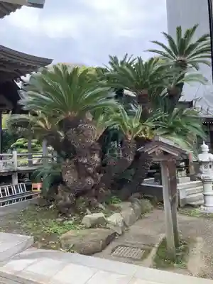 光明寺(神奈川県)