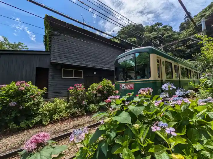 御霊神社の周辺