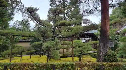 大徳寺(京都府)