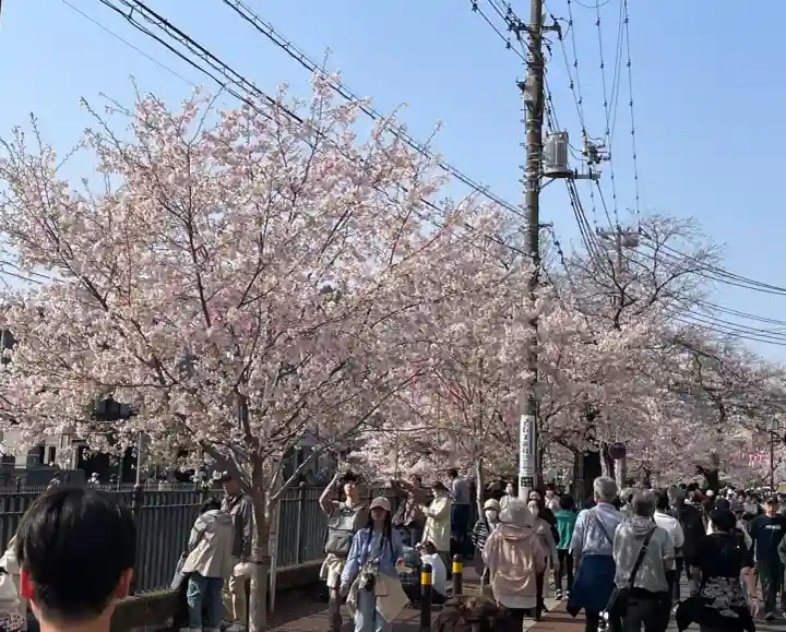 弘明寺の{uncategorized: "未分類", other: "その他", undefined: "問題あり", building: "その他建物", grave: "お墓", sacred_gate: "鳥居", guardian: "狛犬", statue: "像", buddha: "仏像", history: "歴史", nature: "自然", garden: "庭園", animal: "動物", pagoda: "塔", temizu: "手水舎", mountain_gate: "山門・神門", sanctuary: "本殿・本堂", subordinate: "末社・摂社", art: "芸術", scenery: "景色", jizo: "地蔵", ema: "絵馬", goshuin: "御朱印", omikuji: "おみくじ", items: "授与品その他", amulet: "お守り", goshuincho: "御朱印帳", eats: "食事", festival: "お祭り", votive_dance: "神楽", shichigosan: "七五三参", wedding: "結婚式", experience: "体験その他", initially: "初詣", around: "周辺", anti_infection: "感染症対策"}