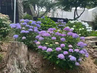 三ヶ根観音(太山寺)(愛知県)