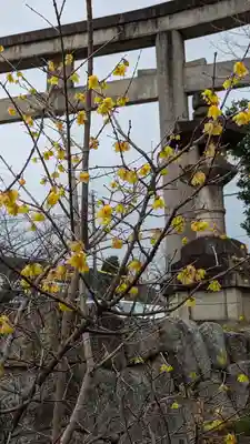 新日吉神宮(京都府)