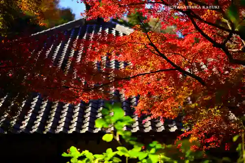 明月院(神奈川県)