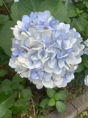 日龍峯寺(高澤観音)(美濃清水)の自然