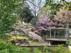 東郷神社の庭園