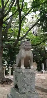 琴崎八幡宮の狛犬