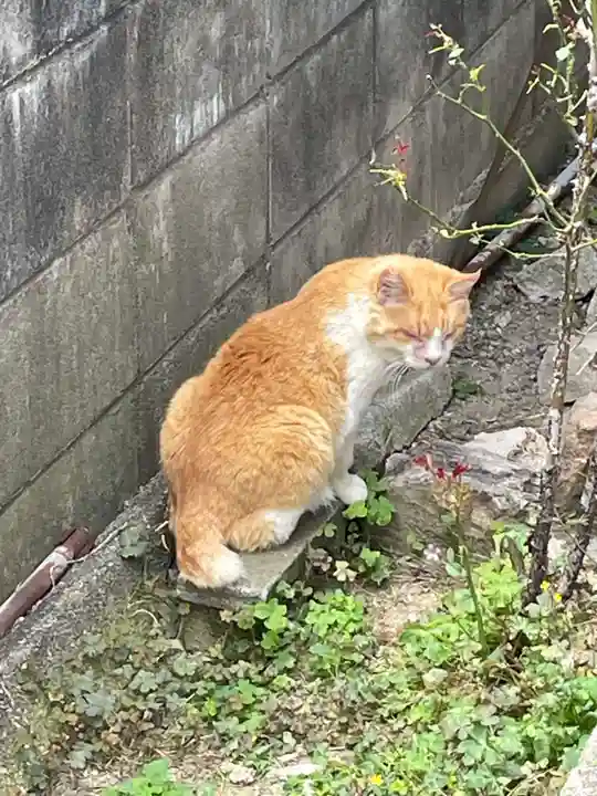 まんなおし地蔵尊(奈良県)