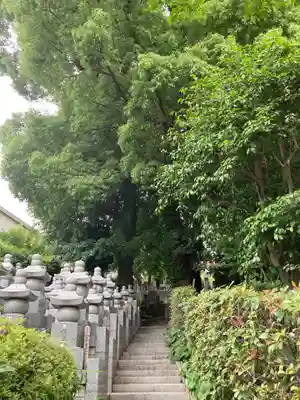 浄土宗 光明山 大蓮寺（照曜会館）(神奈川県)