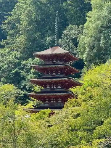 長谷寺の{uncategorized: "未分類", other: "その他", undefined: "問題あり", building: "その他建物", grave: "お墓", sacred_gate: "鳥居", guardian: "狛犬", statue: "像", buddha: "仏像", history: "歴史", nature: "自然", garden: "庭園", animal: "動物", pagoda: "塔", temizu: "手水舎", mountain_gate: "山門・神門", sanctuary: "本殿・本堂", subordinate: "末社・摂社", art: "芸術", scenery: "景色", jizo: "地蔵", ema: "絵馬", goshuin: "御朱印", omikuji: "おみくじ", items: "授与品その他", amulet: "お守り", goshuincho: "御朱印帳", eats: "食事", festival: "お祭り", votive_dance: "神楽", shichigosan: "七五三参", wedding: "結婚式", experience: "体験その他", initially: "初詣", around: "周辺", anti_infection: "感染症対策"}