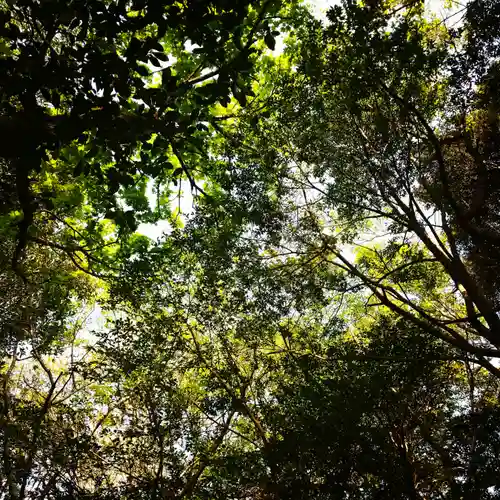 稲荷神社の自然