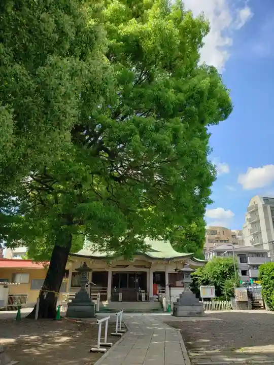 荻窪白山神社(東京都)