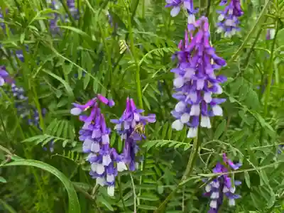 無量寺(和歌山県)