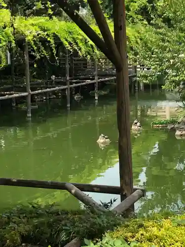 亀戸天神社の庭園