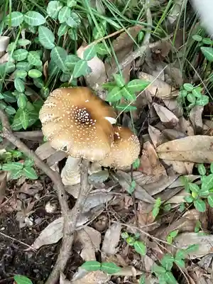 貴船神社(群馬県)