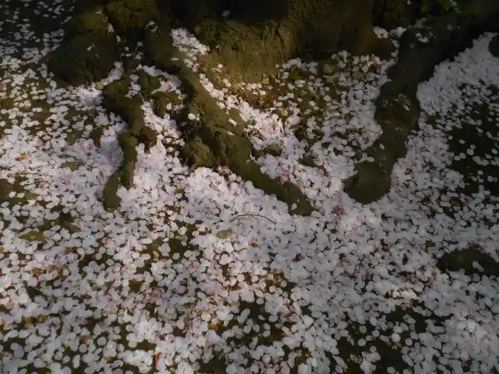 極楽寺(霊鷲山感應院極楽律寺)の自然