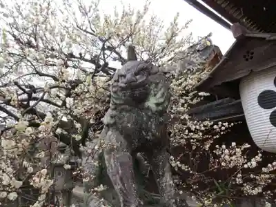 北野天満宮(京都府)