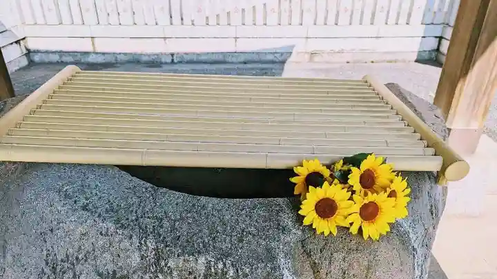 白金氷川神社の手水舎