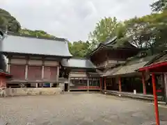 柞原八幡宮(大分県)