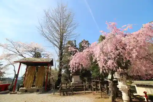 天龍寺(埼玉県)