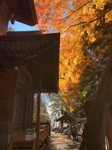 新倉富士浅間神社(山梨県)