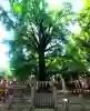 鬼子母神堂 (法明寺)の{uncategorized: "未分類", other: "その他", undefined: "問題あり", building: "その他建物", grave: "お墓", sacred_gate: "鳥居", guardian: "狛犬", statue: "像", buddha: "仏像", history: "歴史", nature: "自然", garden: "庭園", animal: "動物", pagoda: "塔", temizu: "手水舎", mountain_gate: "山門・神門", sanctuary: "本殿・本堂", subordinate: "末社・摂社", art: "芸術", scenery: "景色", jizo: "地蔵", ema: "絵馬", goshuin: "御朱印", omikuji: "おみくじ", items: "授与品その他", amulet: "お守り", goshuincho: "御朱印帳", eats: "食事", festival: "お祭り", votive_dance: "神楽", shichigosan: "七五三参", wedding: "結婚式", experience: "体験その他", initially: "初詣", around: "周辺", anti_infection: "感染症対策"}