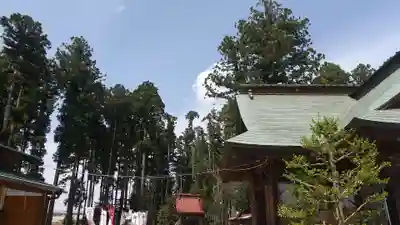鹿嶋三嶋神社(茨城県)