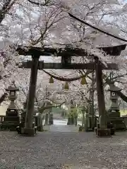 天鷹神社の鳥居