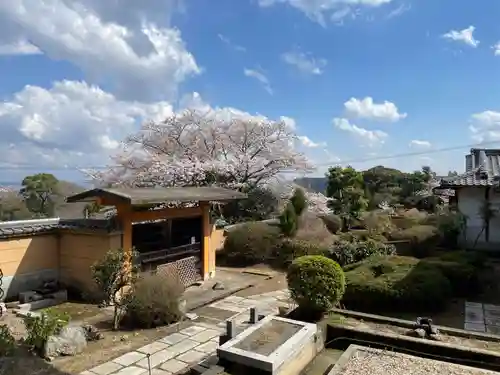 宝菩提院願徳寺(京都府)