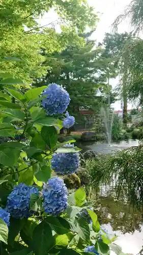 北海道護國神社の自然